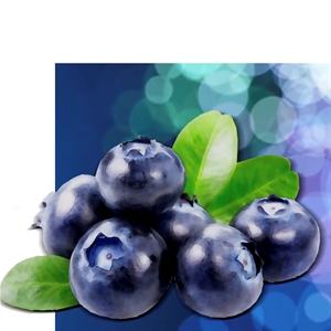 Blueberry