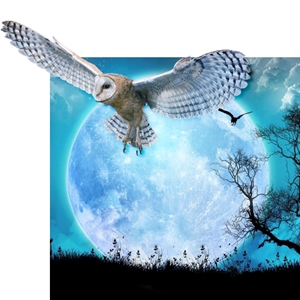 Blue owls