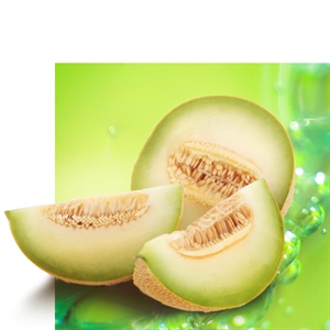 Cantaloupe