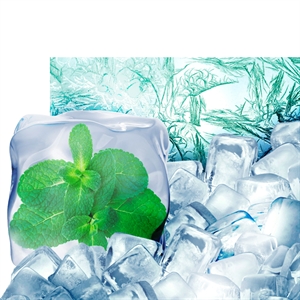Icemint
