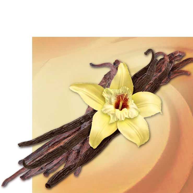 Vanilla classic (Madagascar)